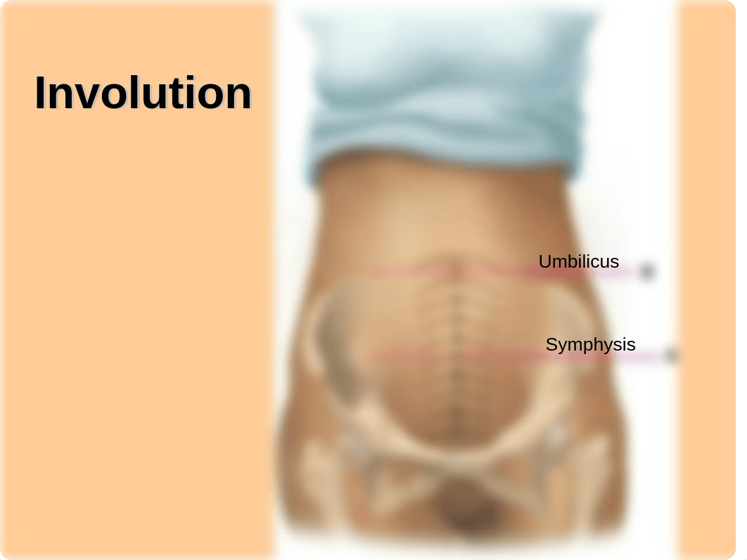 9 NUR 204_Post-Partum Period.ppt_ddyxk117ul0_page4