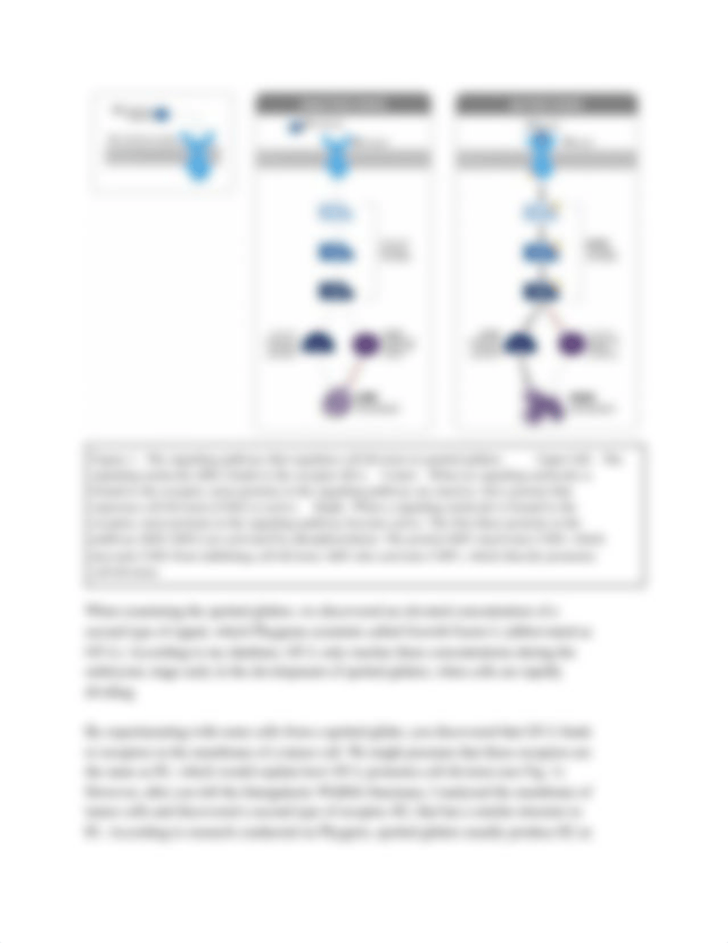 Lab Instructions_ Cell Biology Act II Mission Memo.pdf_ddz4muwswke_page3