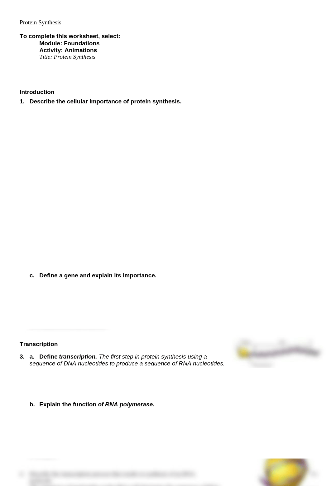 anim_protein_synthesis_answer_key_ddzcgexcezb_page1