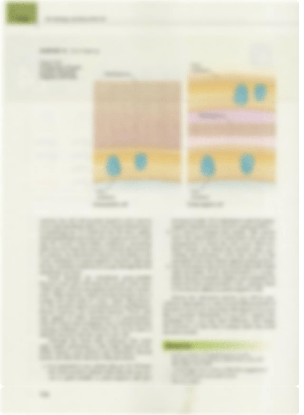 Benson Lab Chapter 14 Gram Staining.pdf_ddzftkb95g1_page2