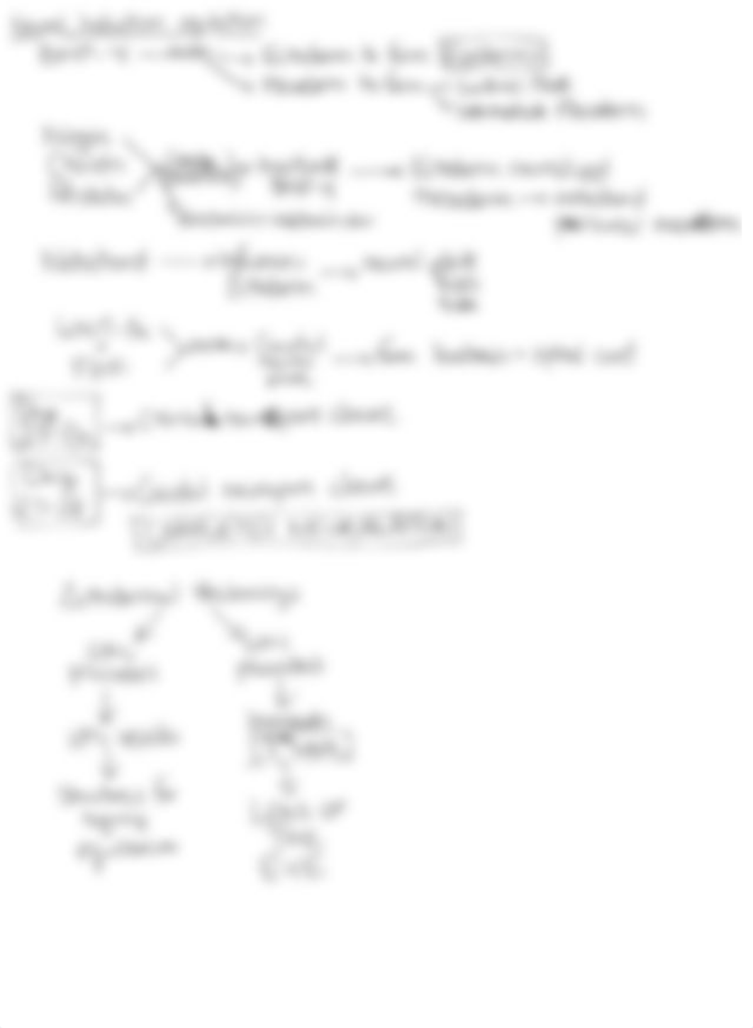 M2 - Embryology Concept Sheet.pdf_ddzk8qmk0yw_page5