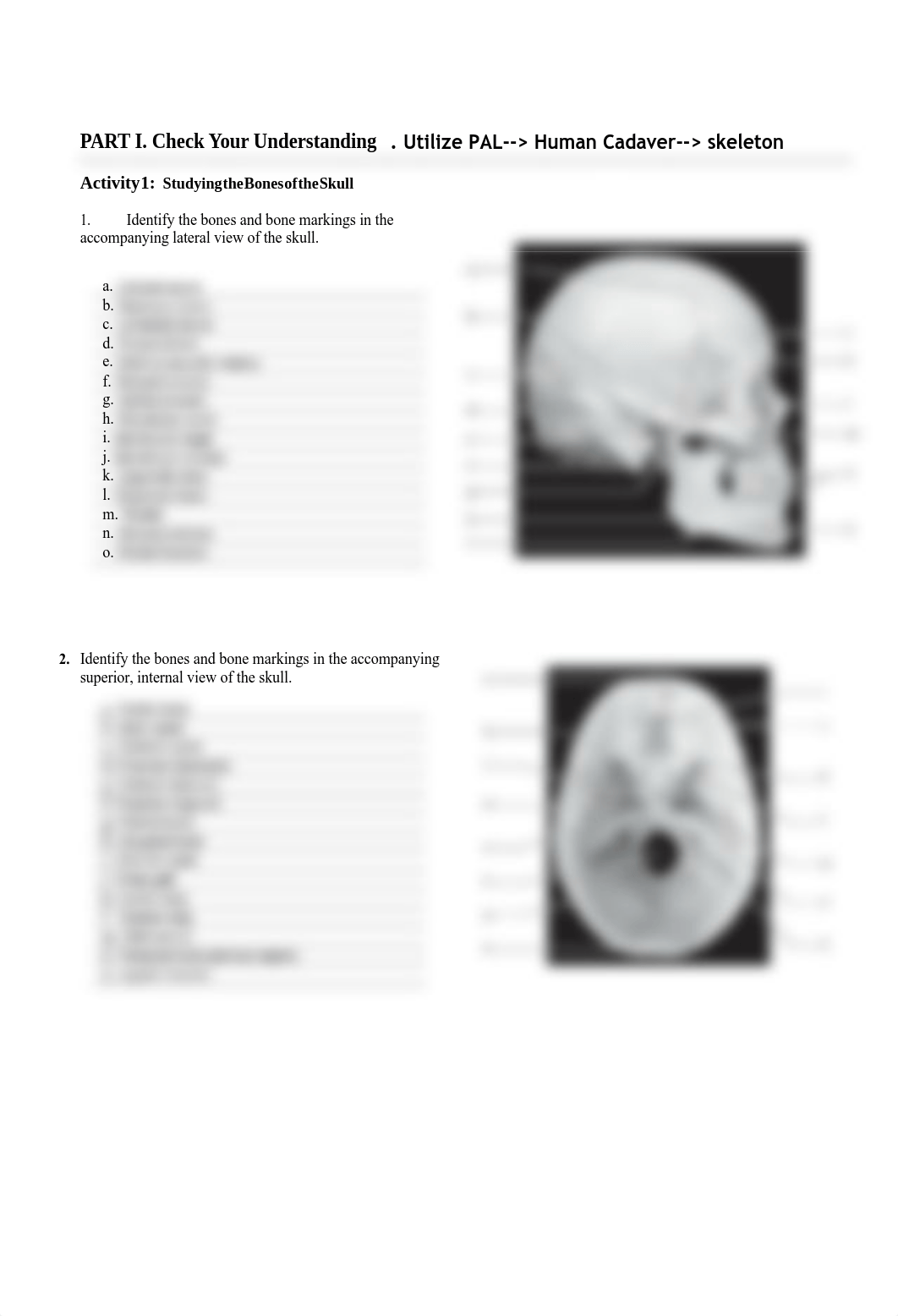 5. Unit 5 laboratory exercise 8, 9, & 10 EDIT-2 almost done_ddznaozx8dc_page2