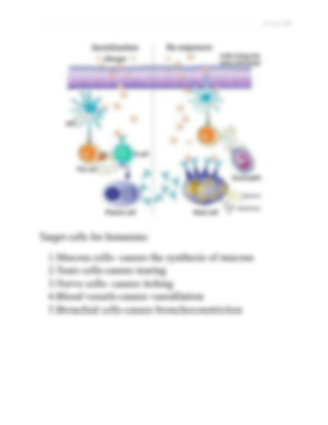 IMMUNOLOGICAL DISORDERS (1) (1).docx_ddzokwcw4xx_page4