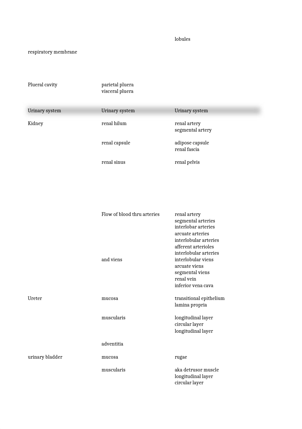 Human Physiology Exam 2_ddzp8g23vpi_page2