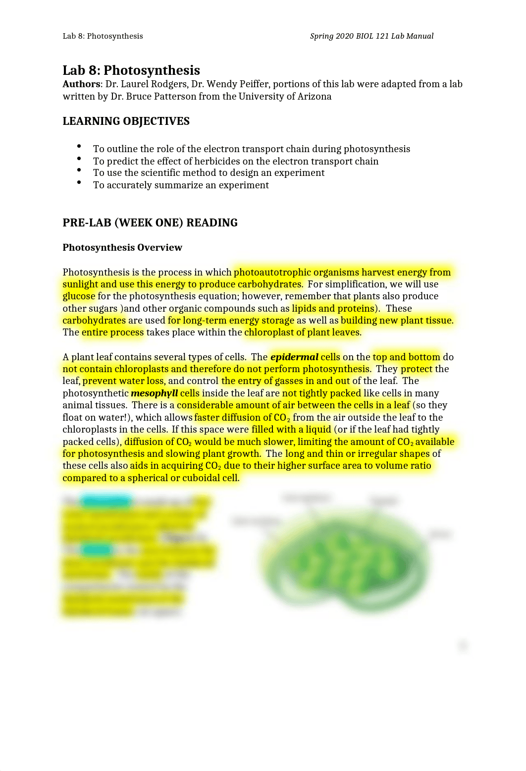 Lab 8 - photosynthesis S20 pre-lab reading.docx_ddzx9wsbphz_page1