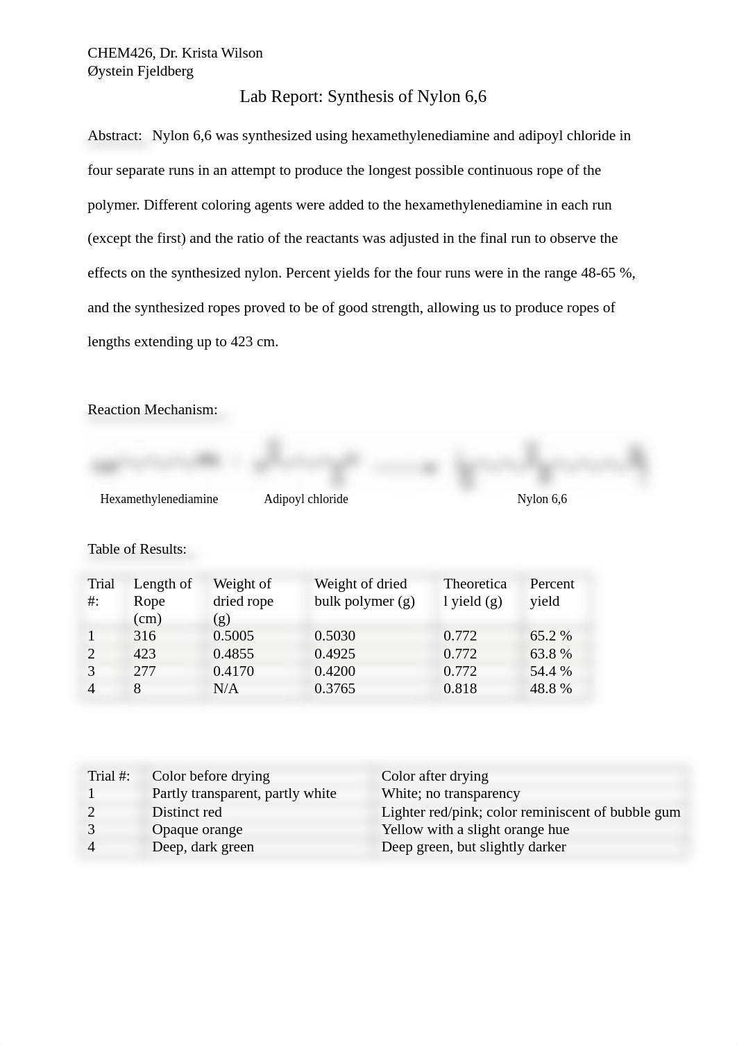 Lab Report Nylon 6,6_ddzzejqazvo_page1