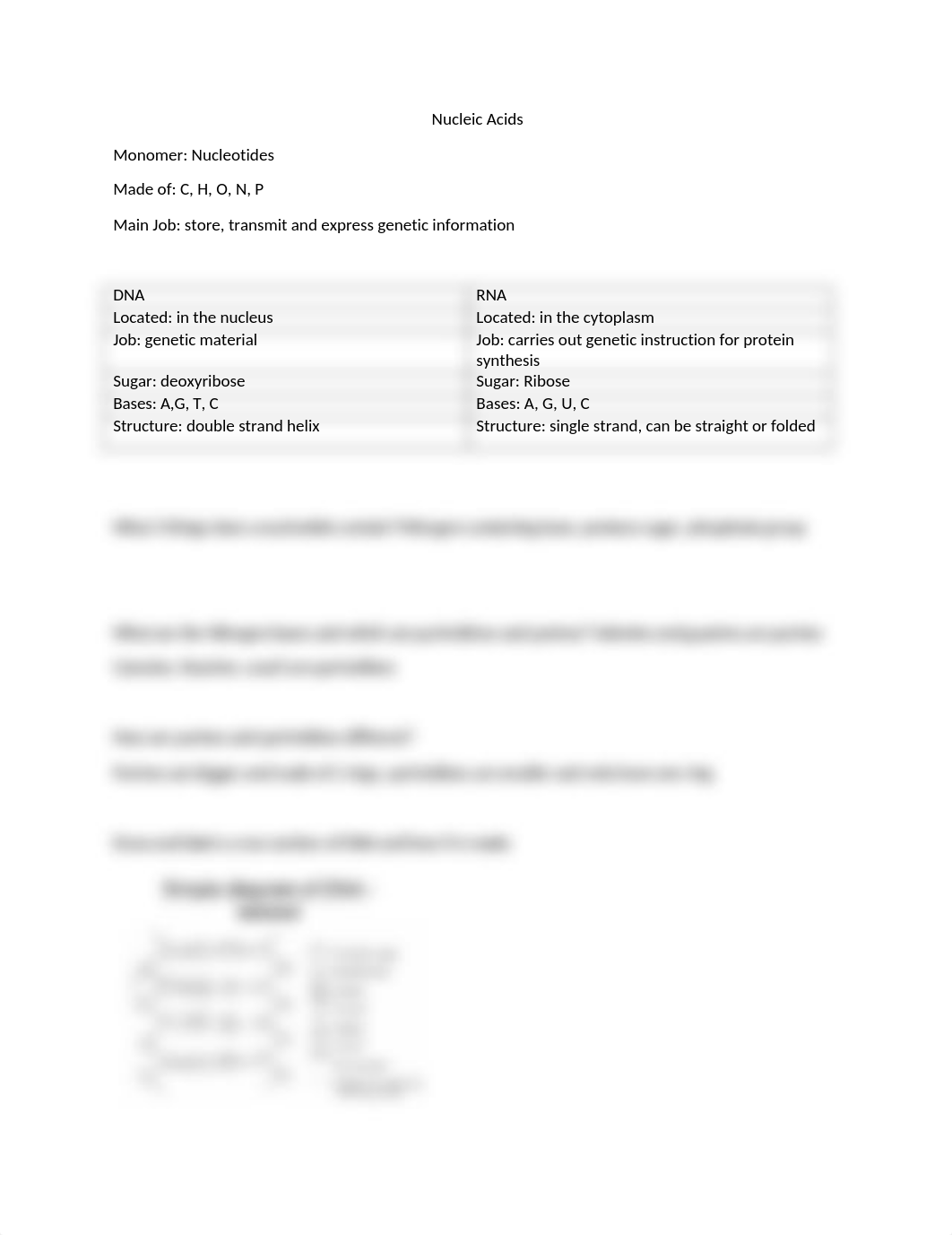 Nucleic acids Answer Key.docx_de01hazfsda_page1