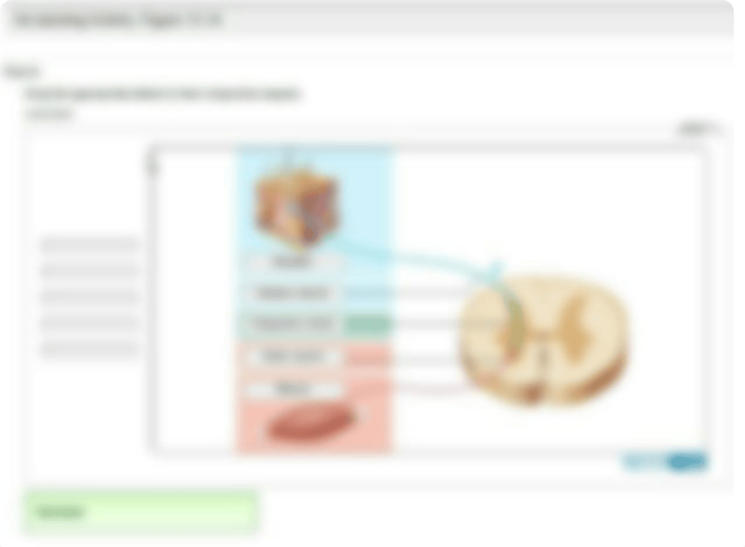 Reflexes &amp; Spinal Cord_de08t37s00v_page4