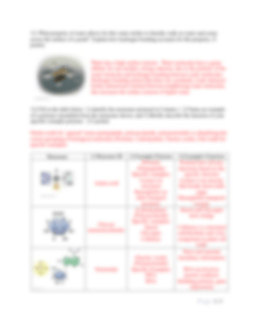 BIO 151 Exam 1 Intro to Cell Bio S17 -KEY.pdf_de09ja9ydc4_page4