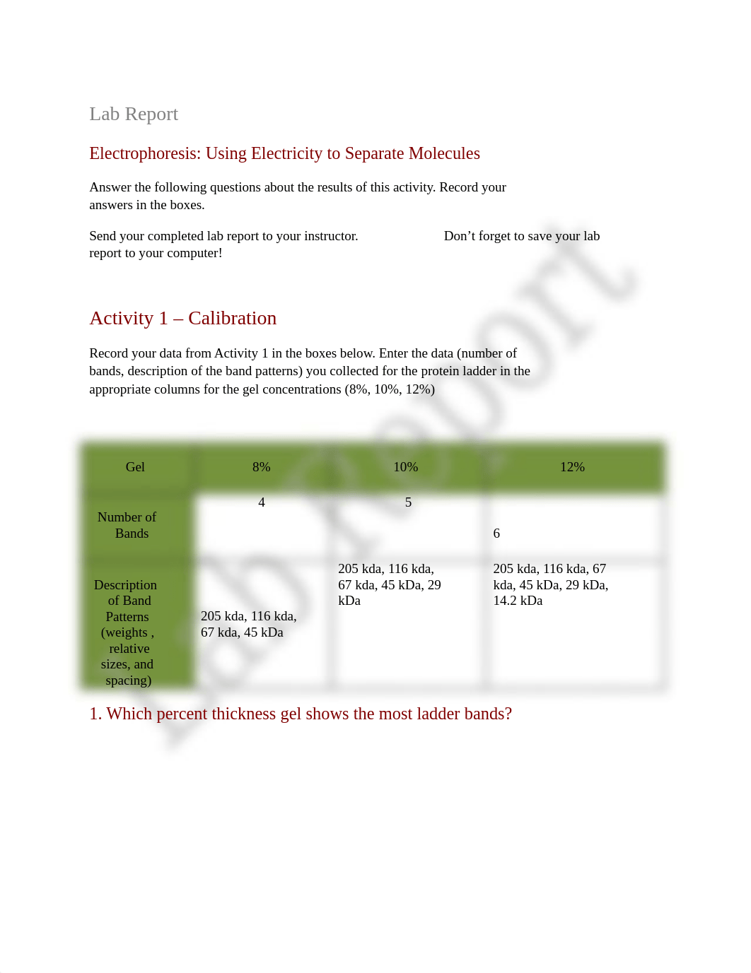 Electrophoresis Lab Report_Erin N Stanfield.doc_de0e6uar5tz_page1