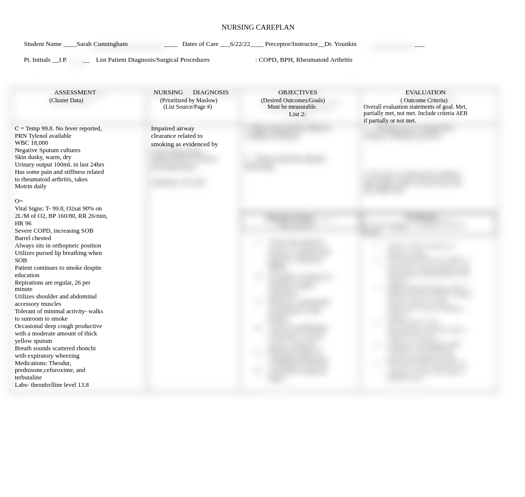 NURSING CAREPLAN Page 1.docx_de0iwmi5200_page1