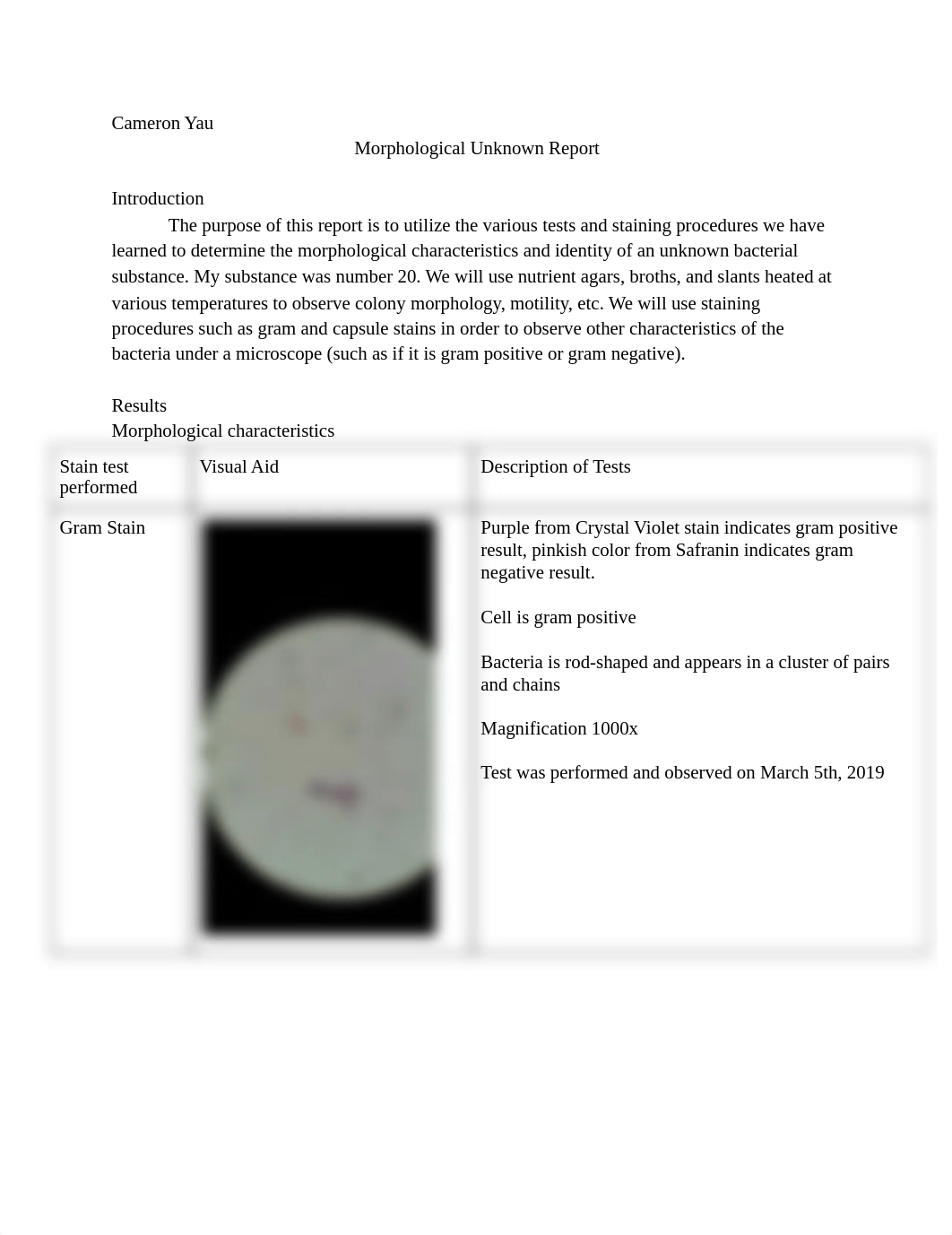 unknown morphology report.pdf_de0qqhs9je0_page1