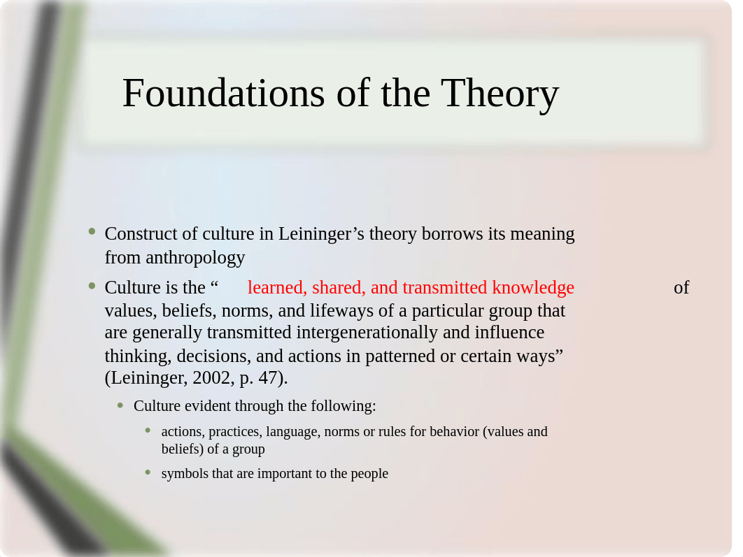 Models of Cultural Competence(1) (2).pptx_de0ts1xjqrv_page5