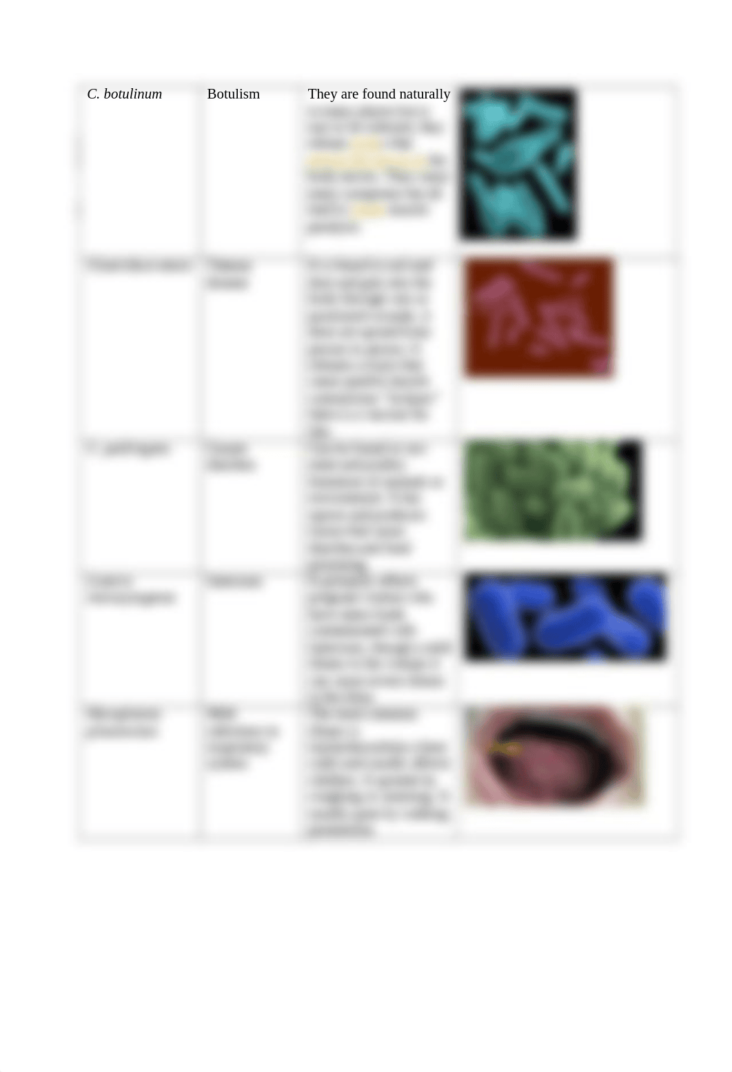 bacteria list 2.docx_de0we6ua2bv_page4