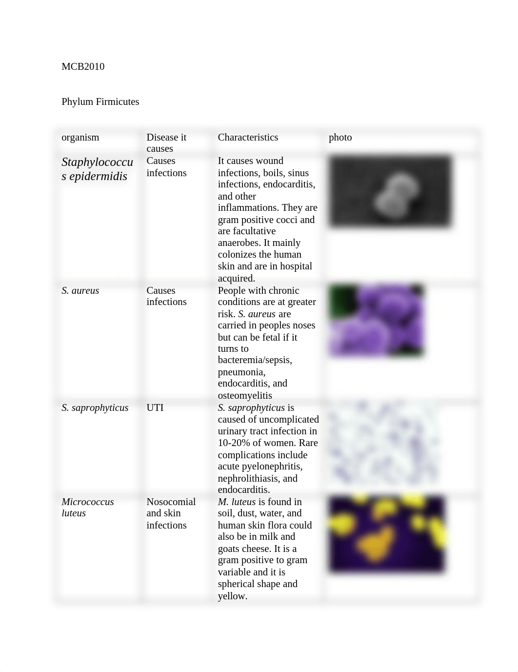 bacteria list 2.docx_de0we6ua2bv_page1