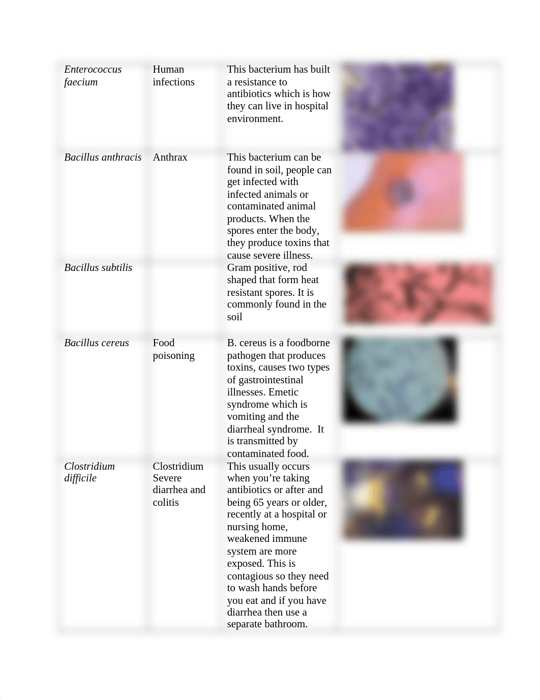 bacteria list 2.docx_de0we6ua2bv_page3