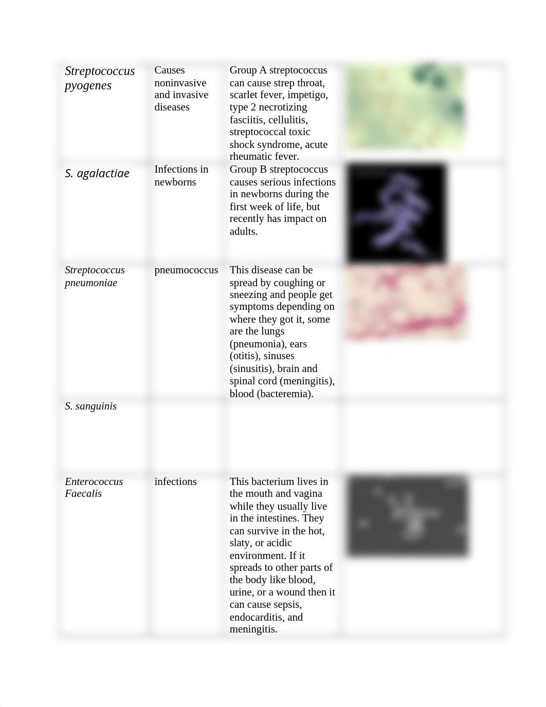 bacteria list 2.docx_de0we6ua2bv_page2