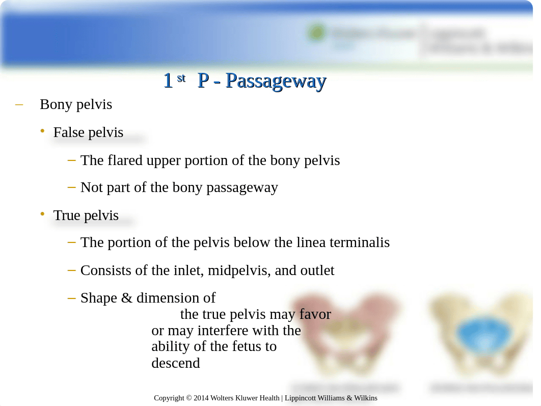 NUR 104 Chapter 8 Hatfield.ppt_de10hjec5bp_page3