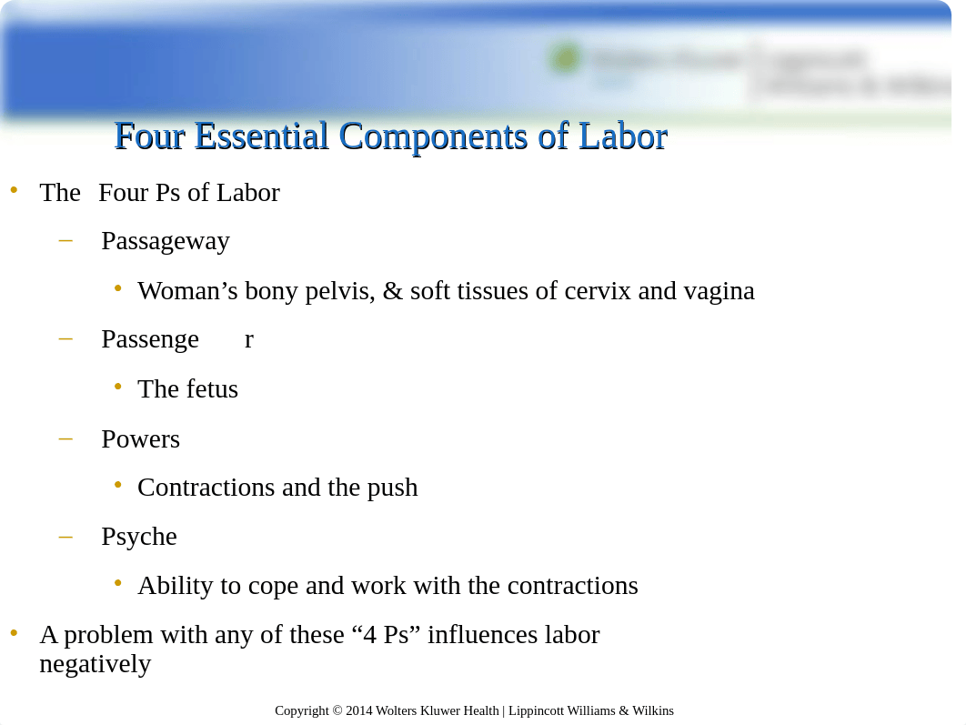 NUR 104 Chapter 8 Hatfield.ppt_de10hjec5bp_page2