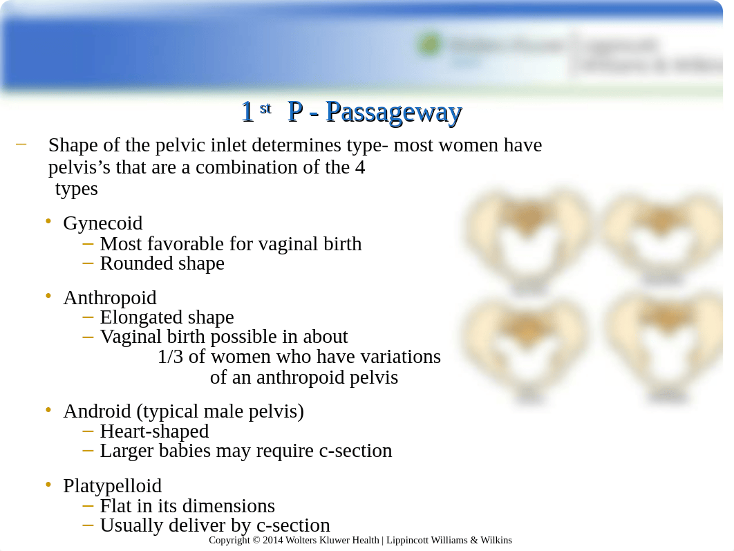 NUR 104 Chapter 8 Hatfield.ppt_de10hjec5bp_page4