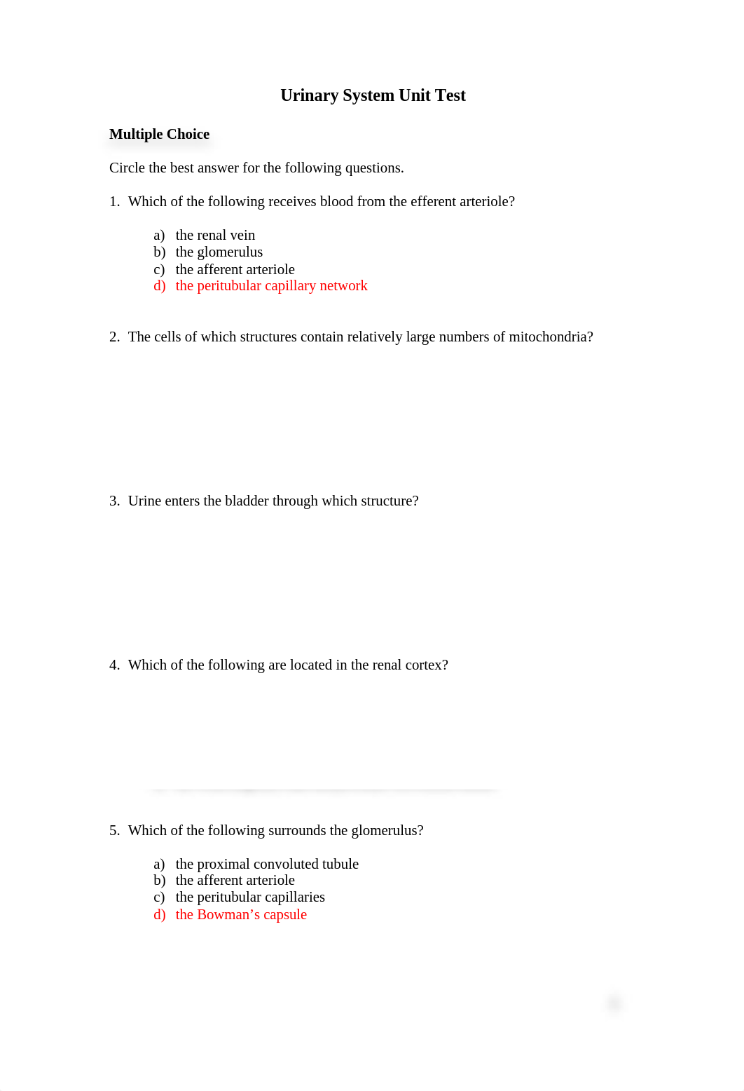 Urinary system TUTOR.doc_de191mf7ww2_page1