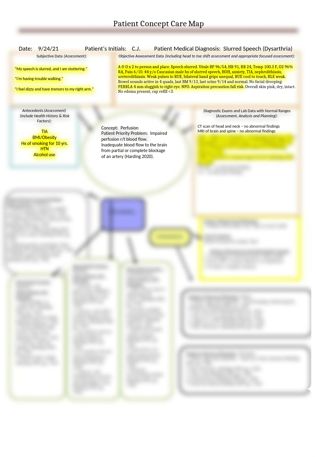 Perfusion Concept Care Map.docx_de1hmevulx7_page1