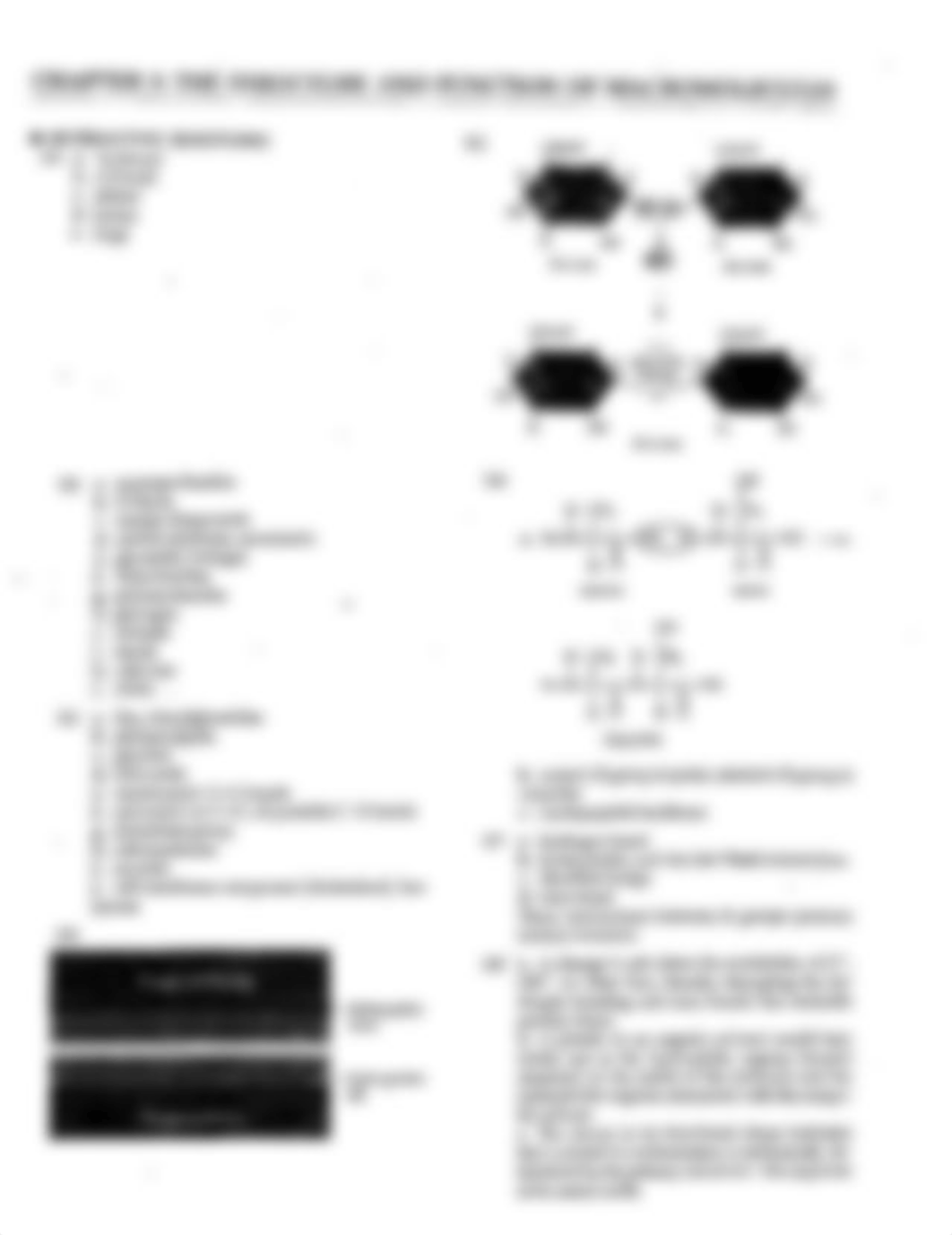 answer key in biology_de1t1vv0a13_page1