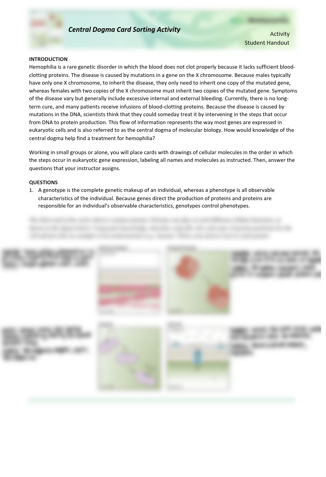 genetics lab 4.pdf_de1y09zuztx_page1