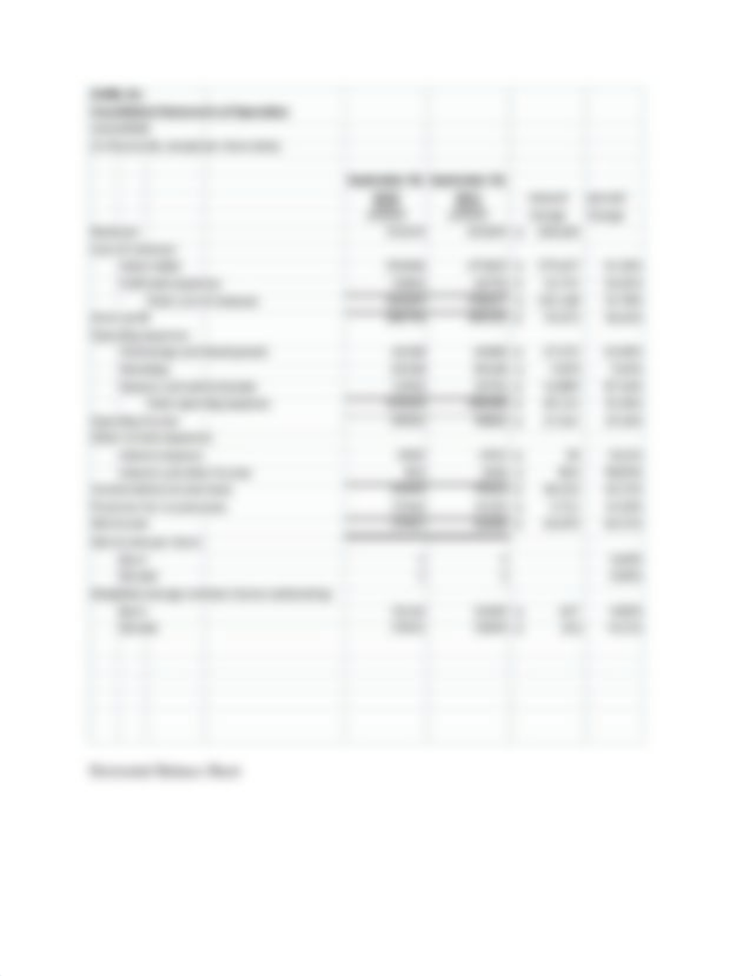 Netflix - Financial Analysis.docx_de22lunn2wi_page3