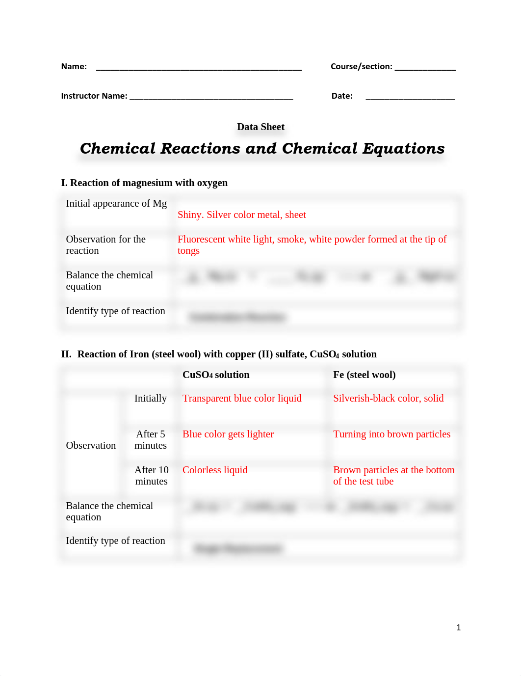 MOCK DATA- Chemical Reactions and Chemical Equations.pdf_de22tkjrkd3_page1