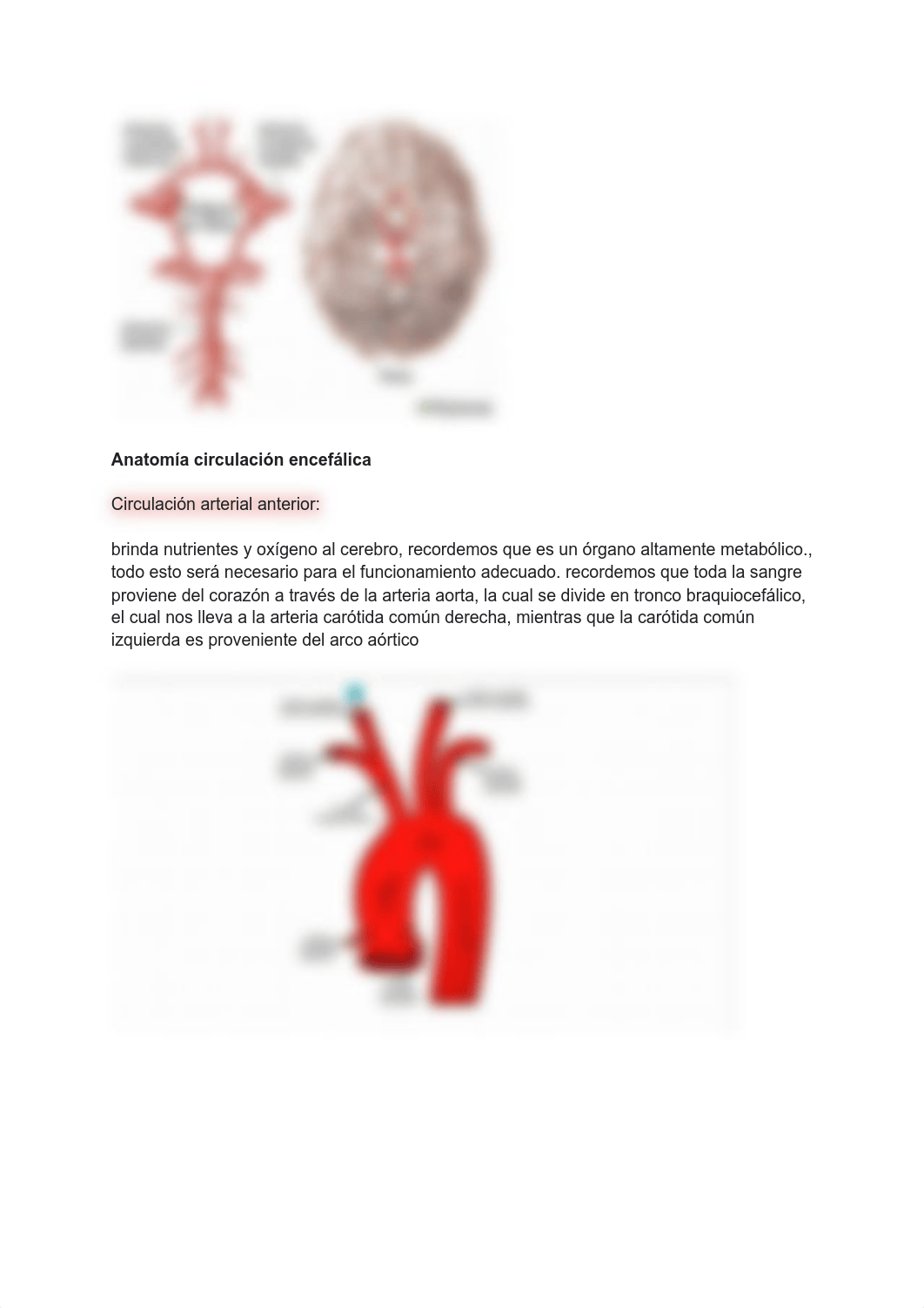 BIOMÉDICAS ACV 2.pdf_de23fb243xp_page2