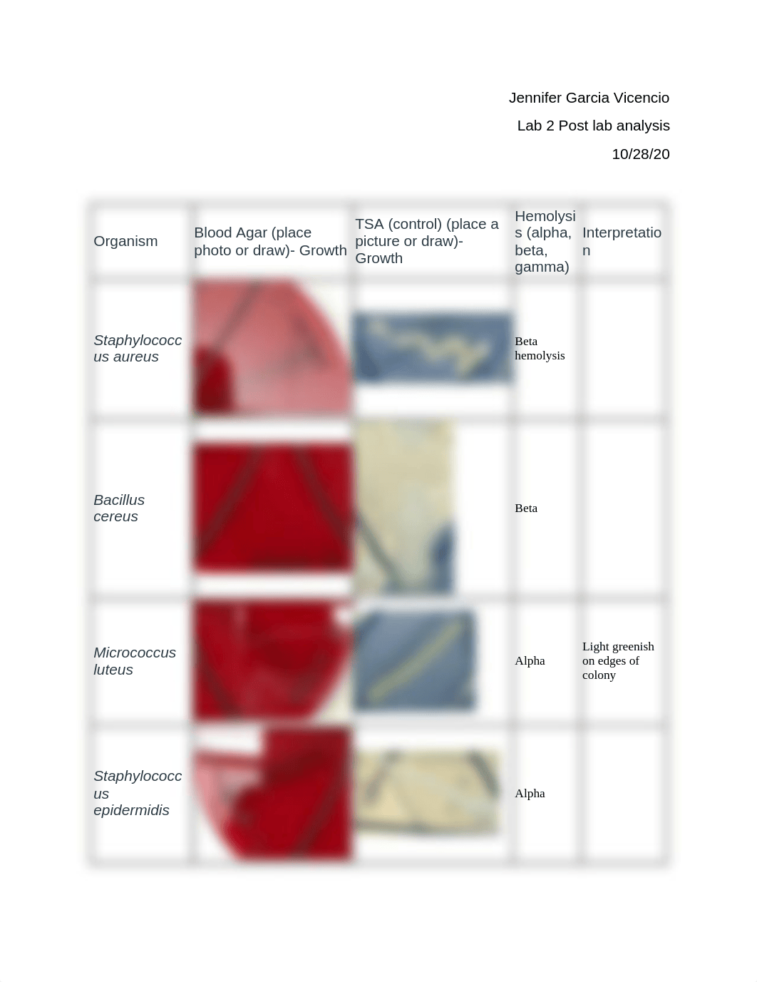 Lab 2 Post Lab analysis.docx_de26ddrp9as_page1