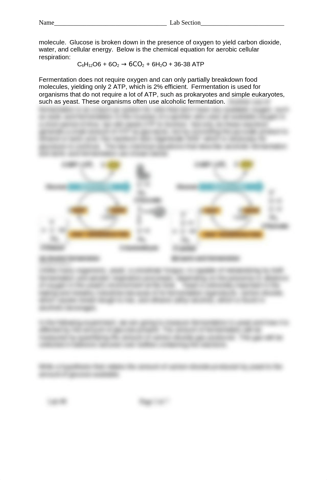 Updated BIO 101 Lab 8 FA 21-1 (1).docx_de2h1waw8db_page2