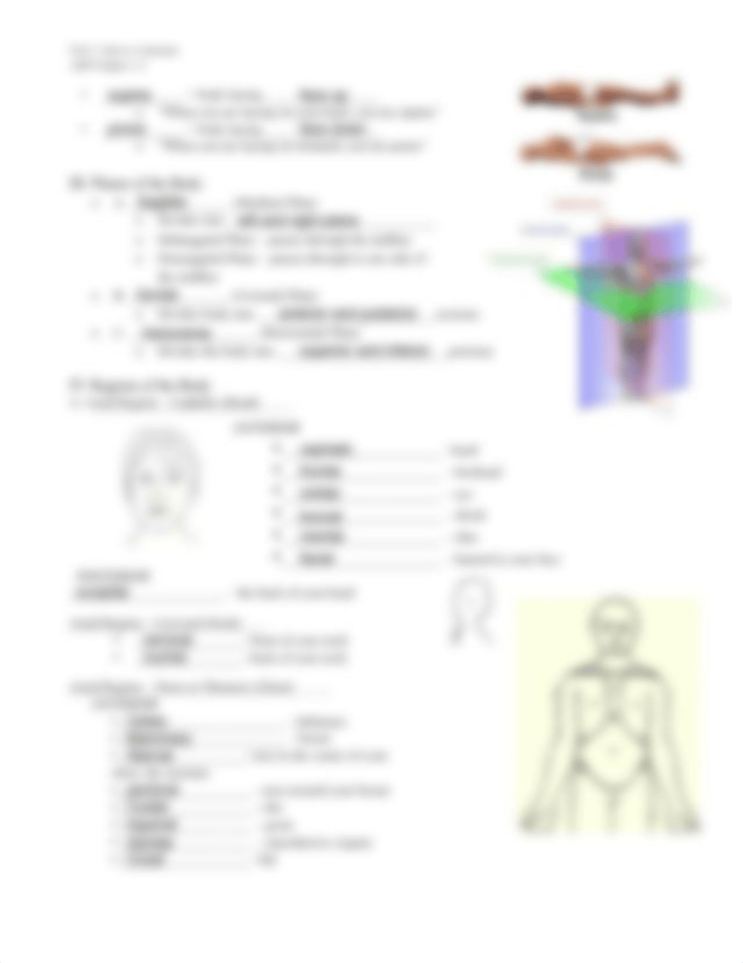 Clinetria Hoyle - Guided Notes 2_anatomical_terms.pdf_de2ms8vjxij_page2