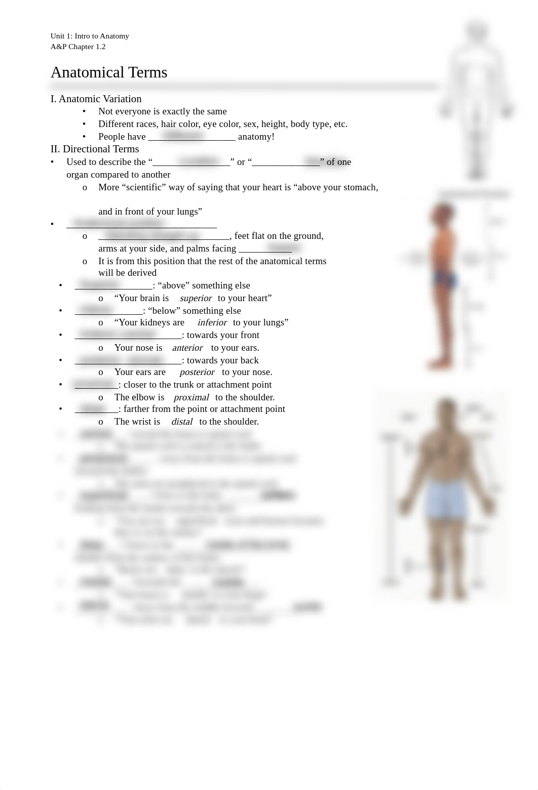 Clinetria Hoyle - Guided Notes 2_anatomical_terms.pdf_de2ms8vjxij_page1