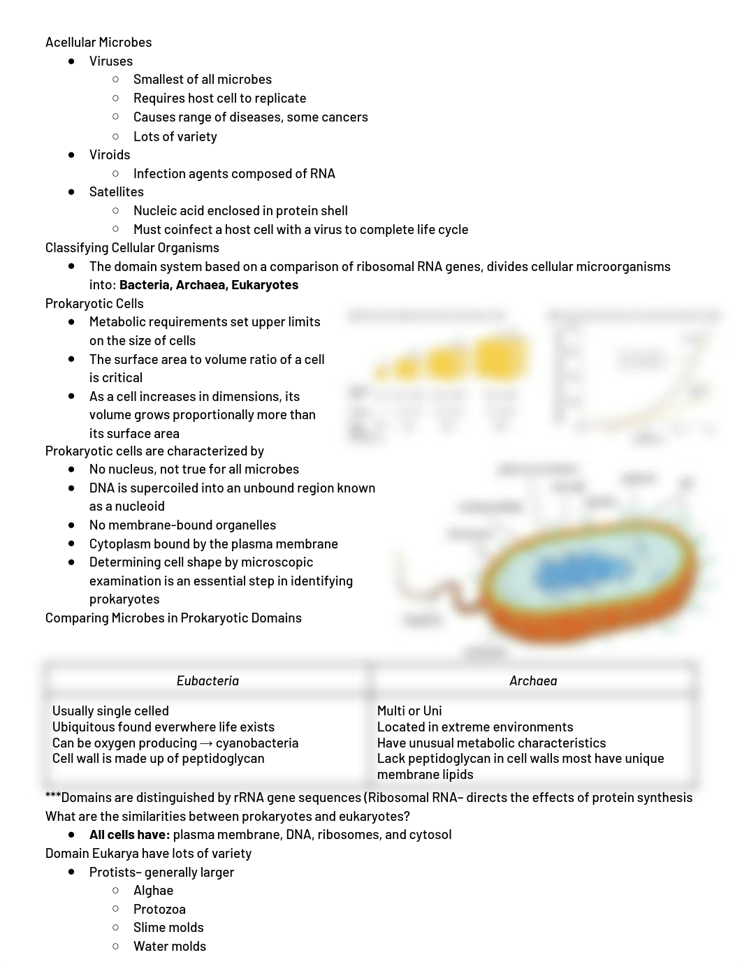 exam #1 micro.pdf_de3103ik5eq_page1