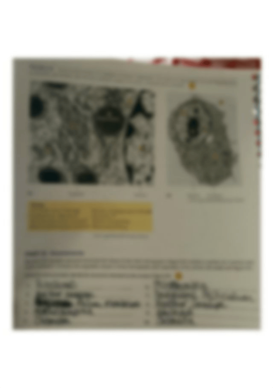 Lab 5 Part D Assessments.jpg_de35fjnw56f_page1