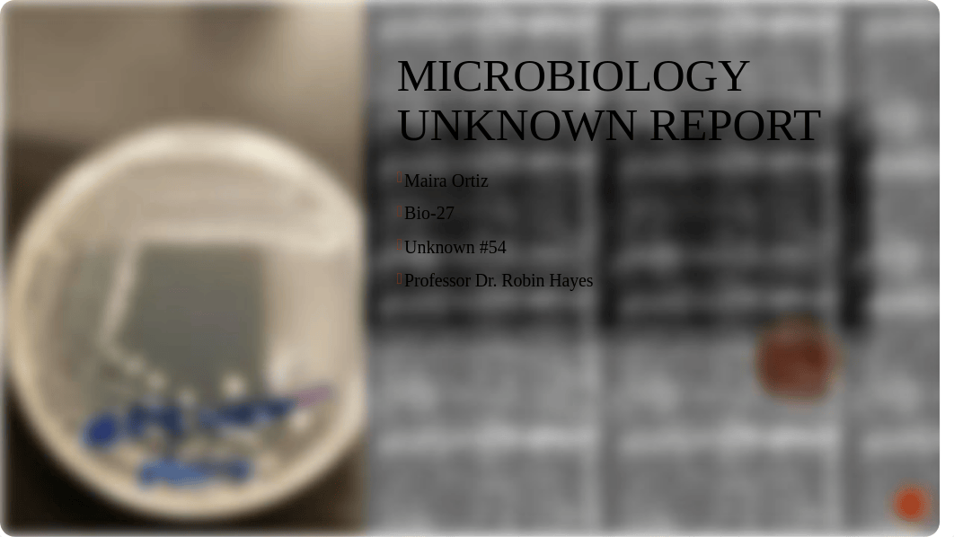 Microbiology Unknown Report.pptx_de37k3ghco7_page1