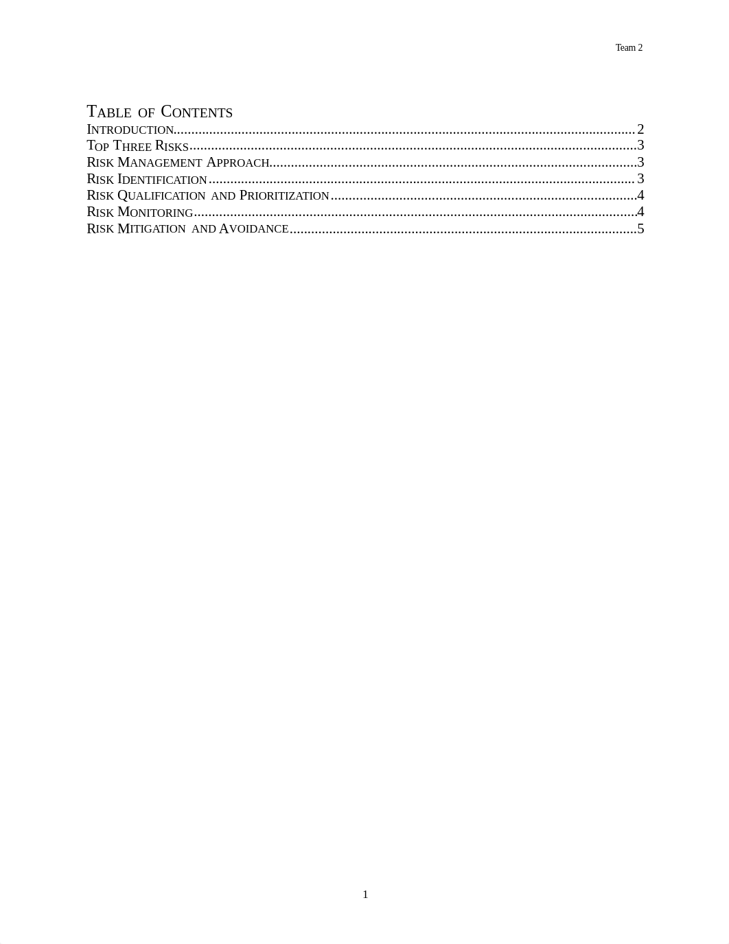 Risk Management Plan_de3ljt8ymhx_page2