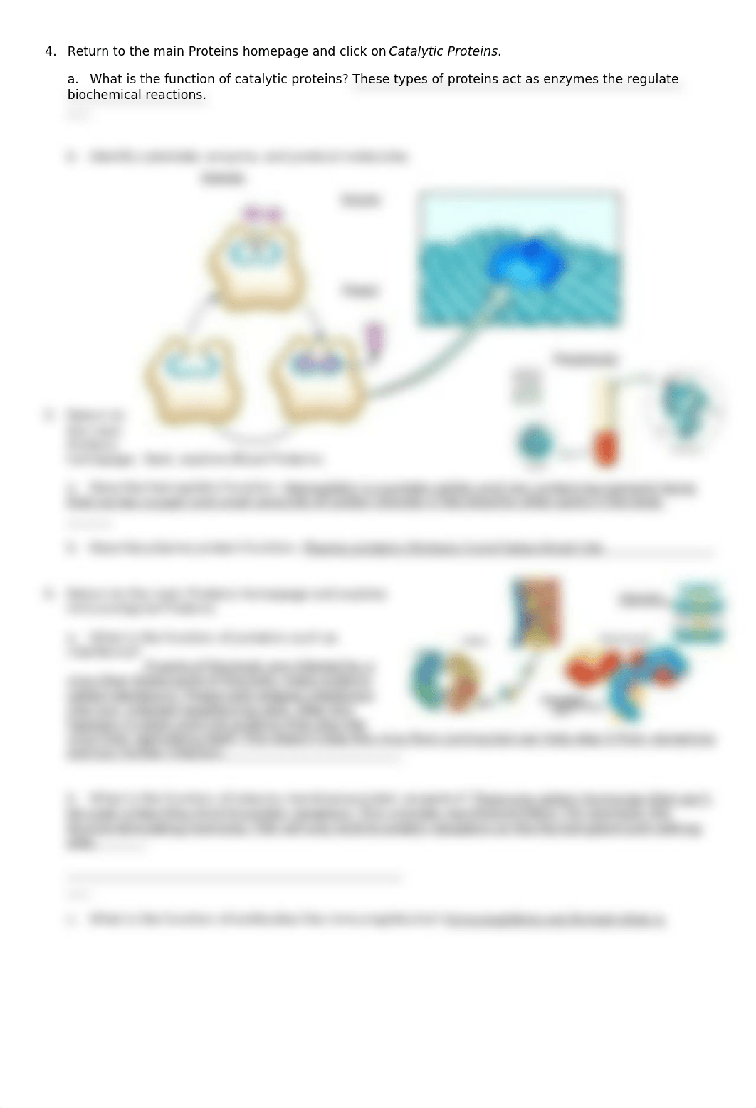 biomolecule 2 - Copy.doc_de3pkoqhe1p_page3