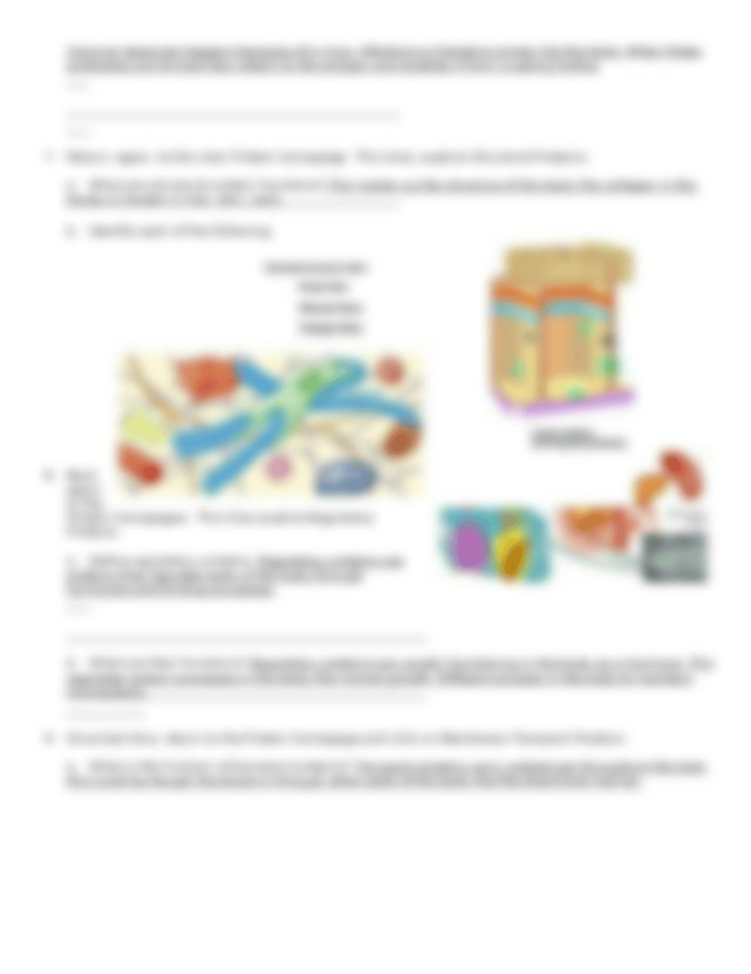 biomolecule 2 - Copy.doc_de3pkoqhe1p_page4