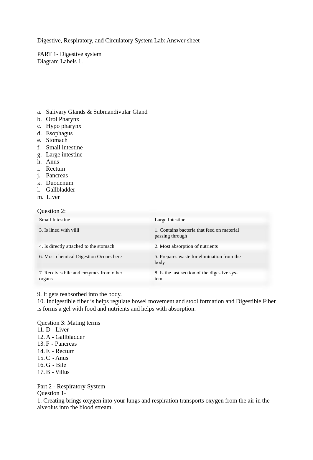 Lab 6 digestive system .docx_de3x1jvkzkc_page1