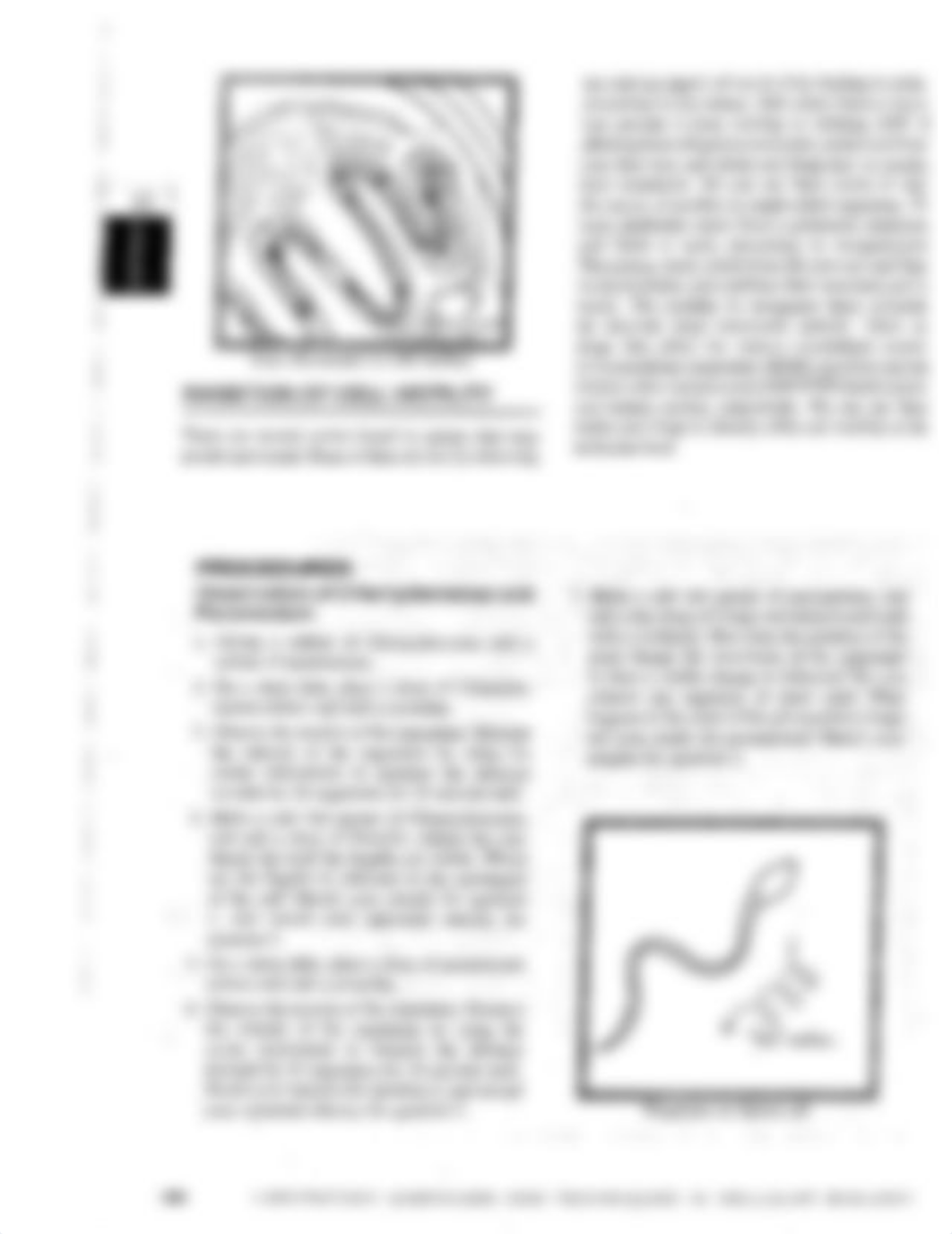 Cell Motility Lab Exercise (1).pdf_de3ykvtxazs_page4