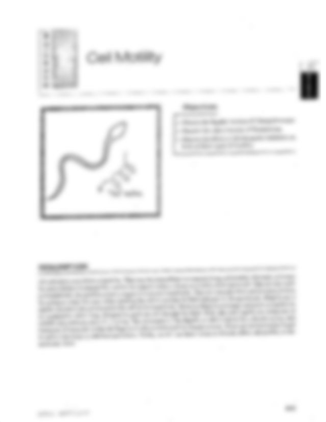 Cell Motility Lab Exercise (1).pdf_de3ykvtxazs_page1