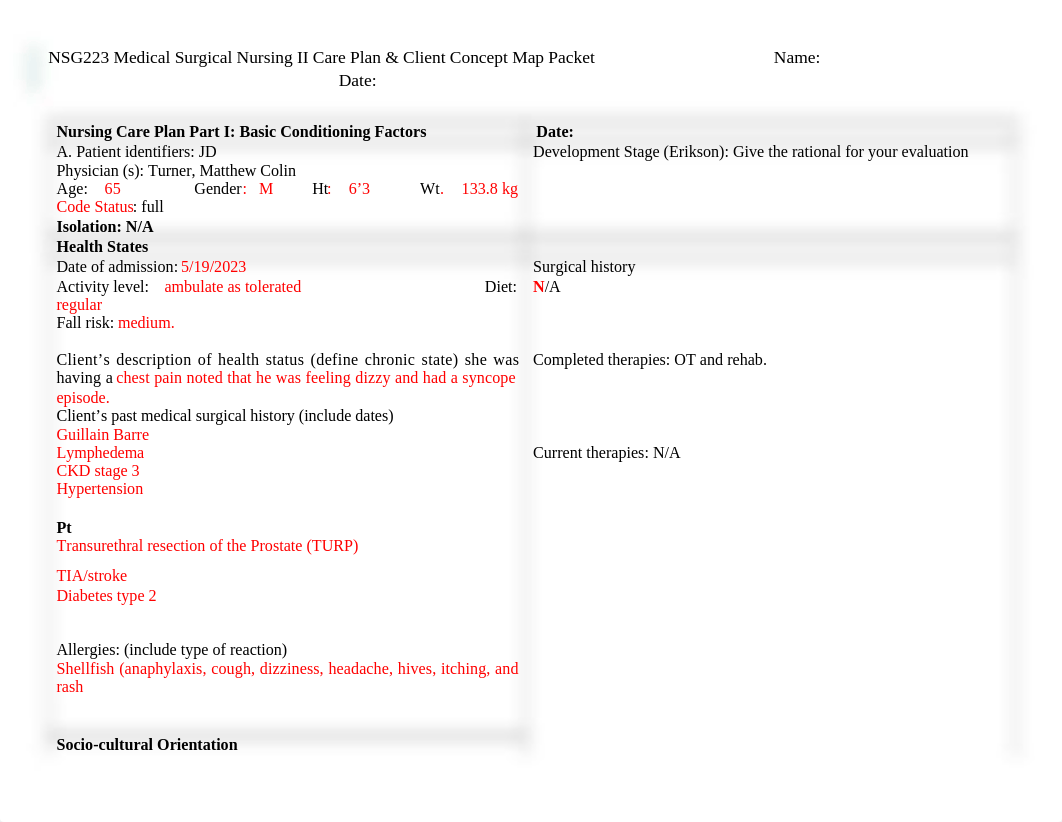 233 updated care plan (2).docx_de41j9pqan7_page2