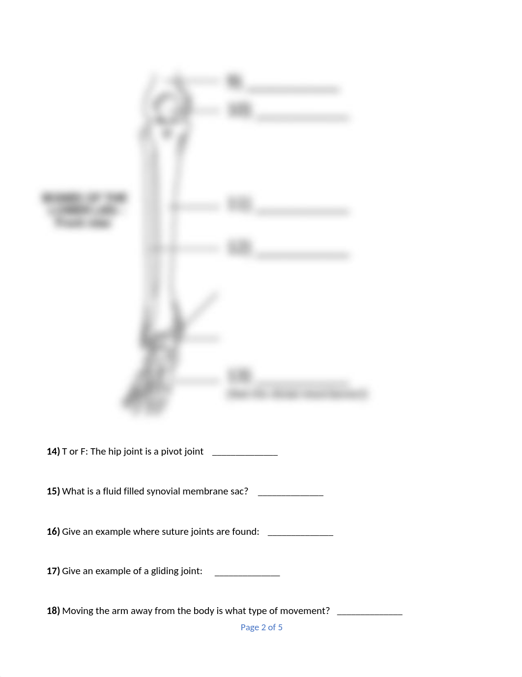 Lab Final.docx_de4bn4a10r5_page2