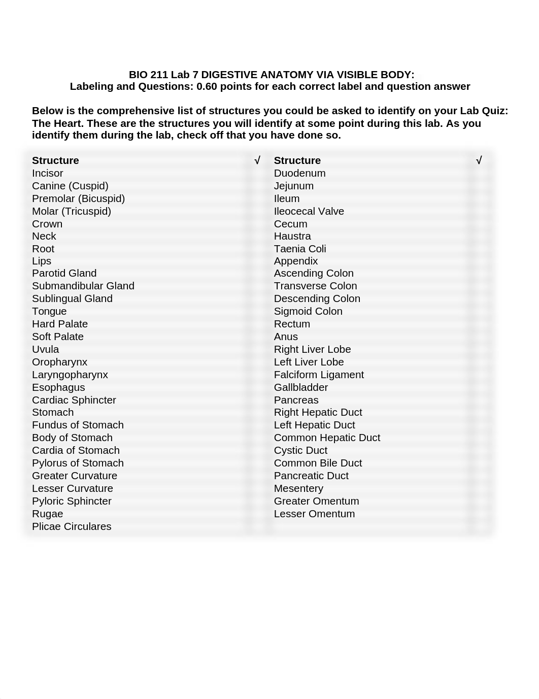 BIO 211 Lab 7 Digestive Anatomy SU2021.docx_de4c5tdbxy2_page1