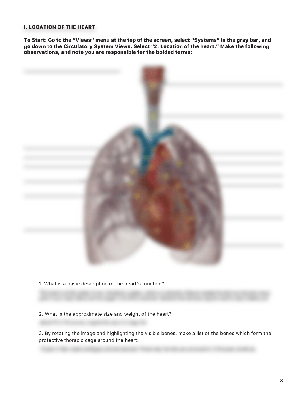 Heart Lab.pdf_de4cg0x7lv4_page3