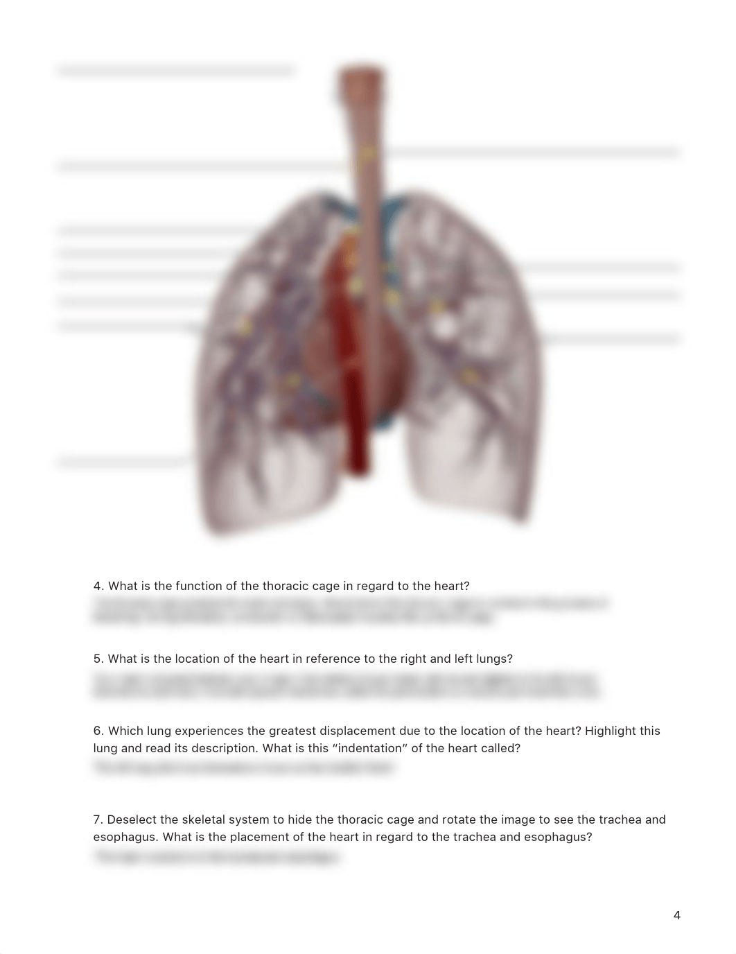 Heart Lab.pdf_de4cg0x7lv4_page4