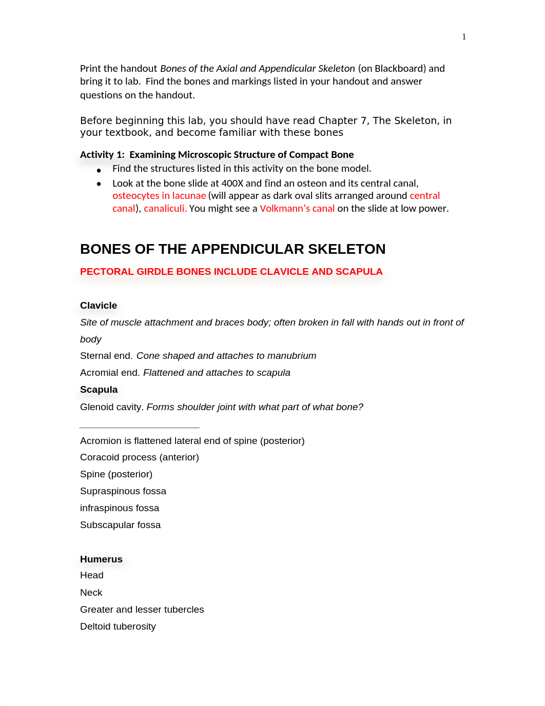 Bones, Appendicular Lab.doc_de4ioqiym8q_page1